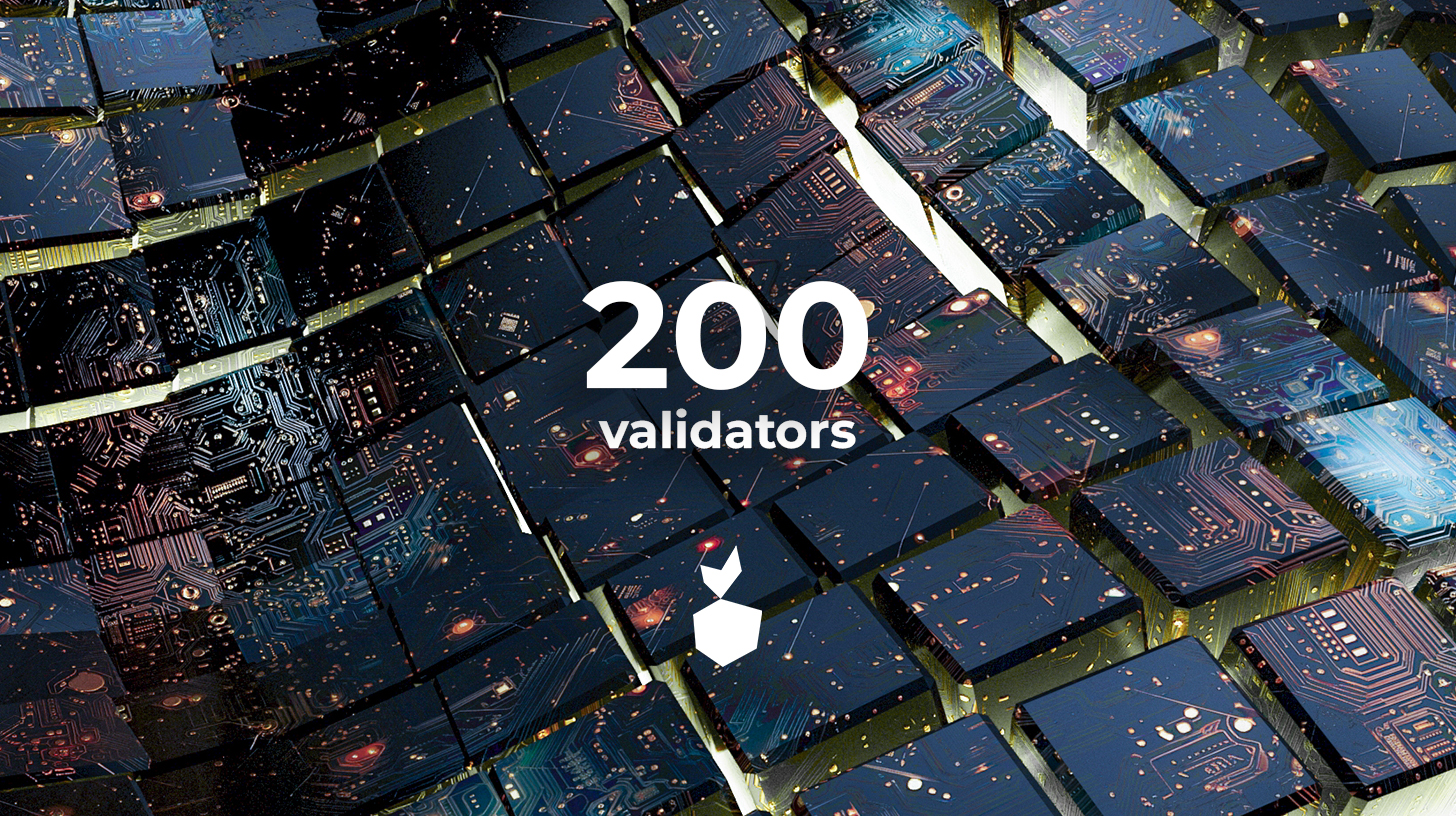 200 Validators on a Single Raspberry Pi 5!