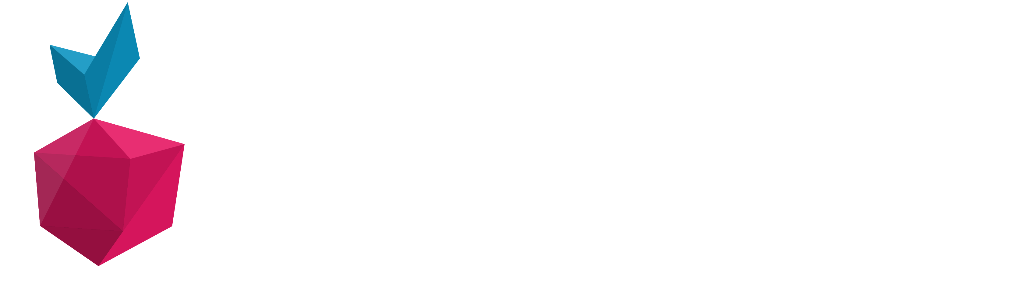 Web3 Pi logo